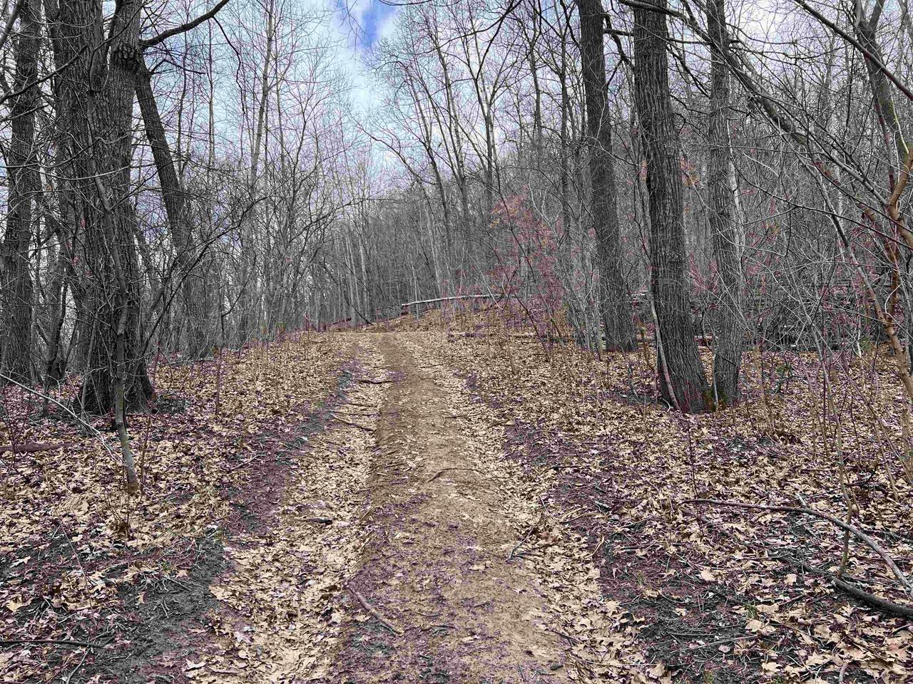 Property Photo:  14.2 Acres Will Kumlin Road  WI 54624 