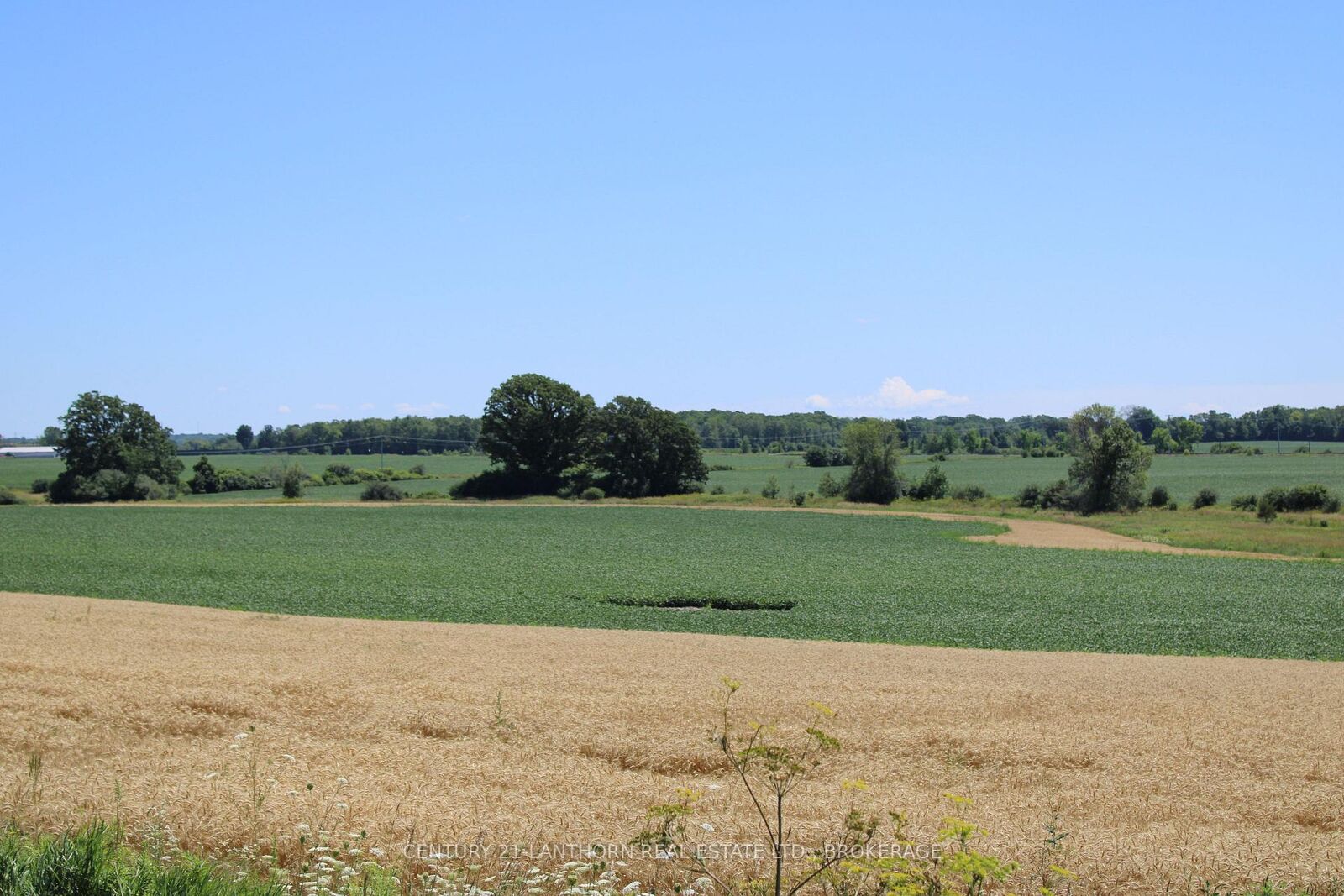 Property Photo:  Lt15-16 County Road 1 N/A W  ON K7R 3L1 