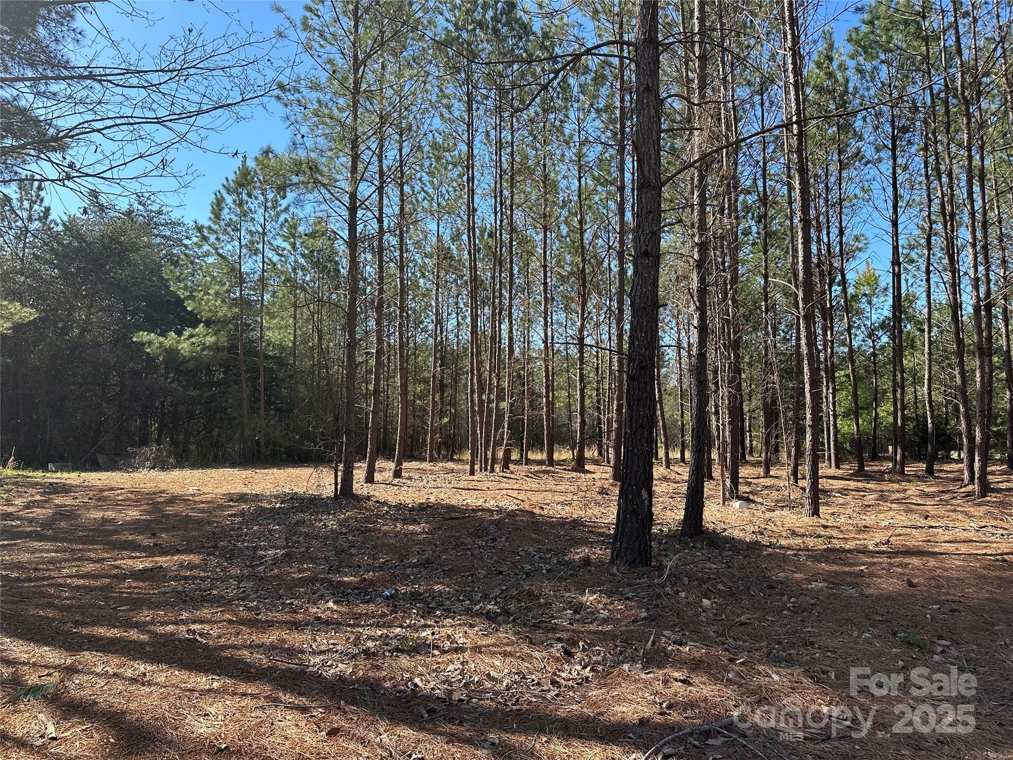 Property Photo: 4265 East Maiden Road NC 28650