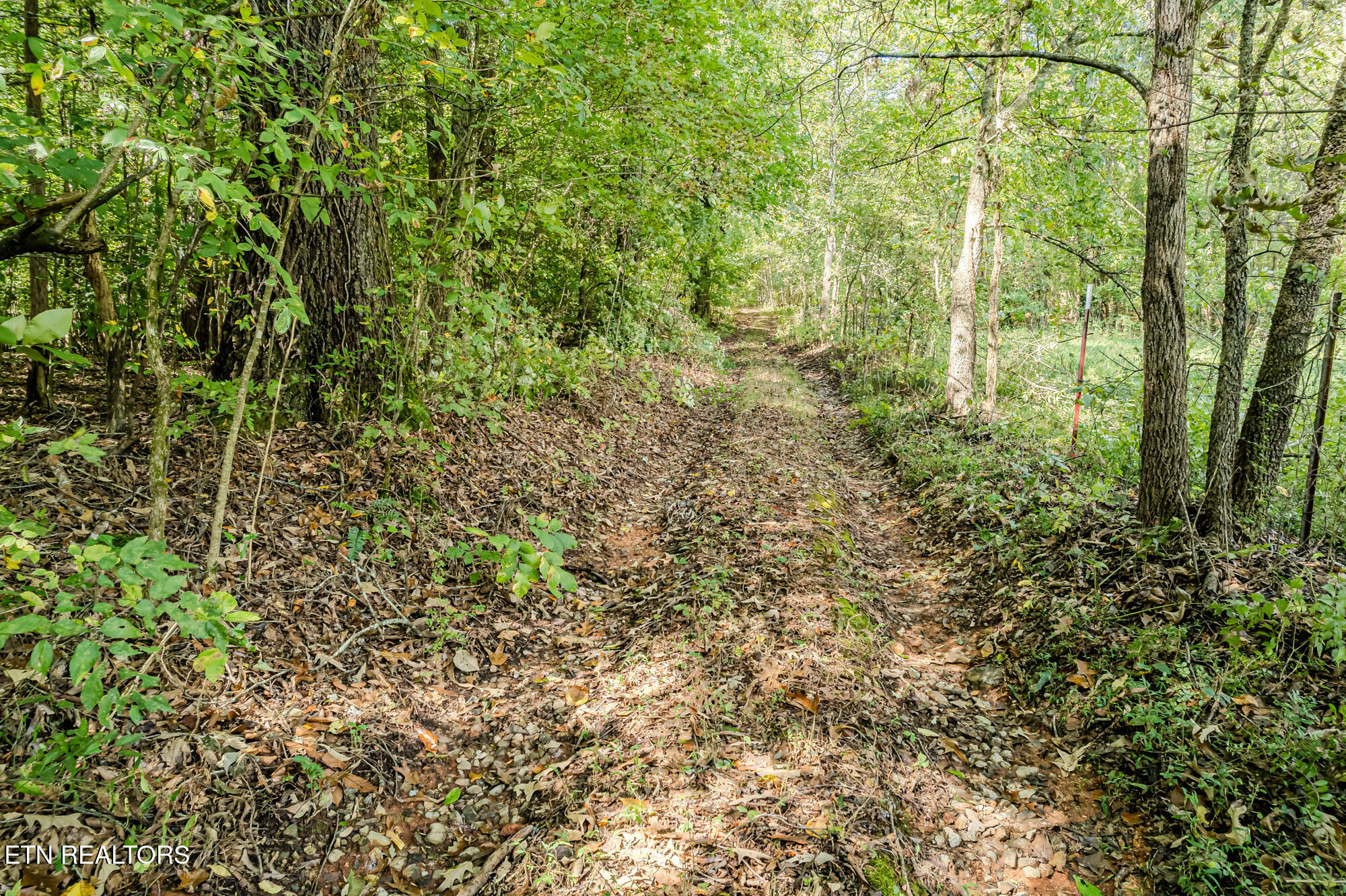 00 O B Davis Rd  Delano TN 37325 photo