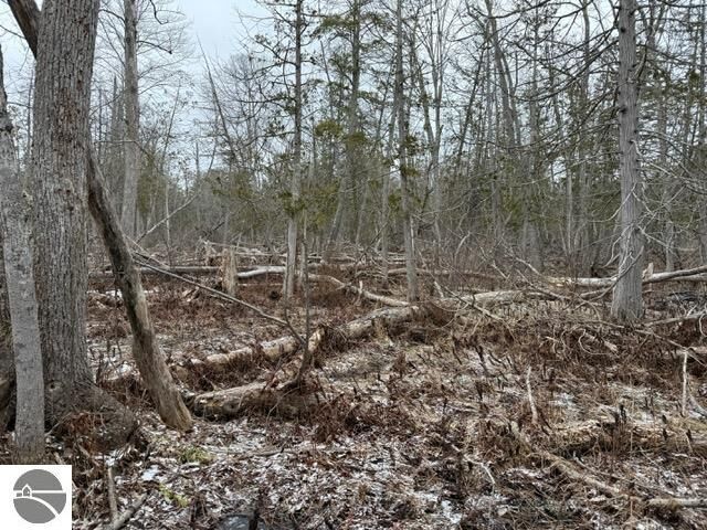 Property Photo:  000 Pioneer Road  MI 49640 