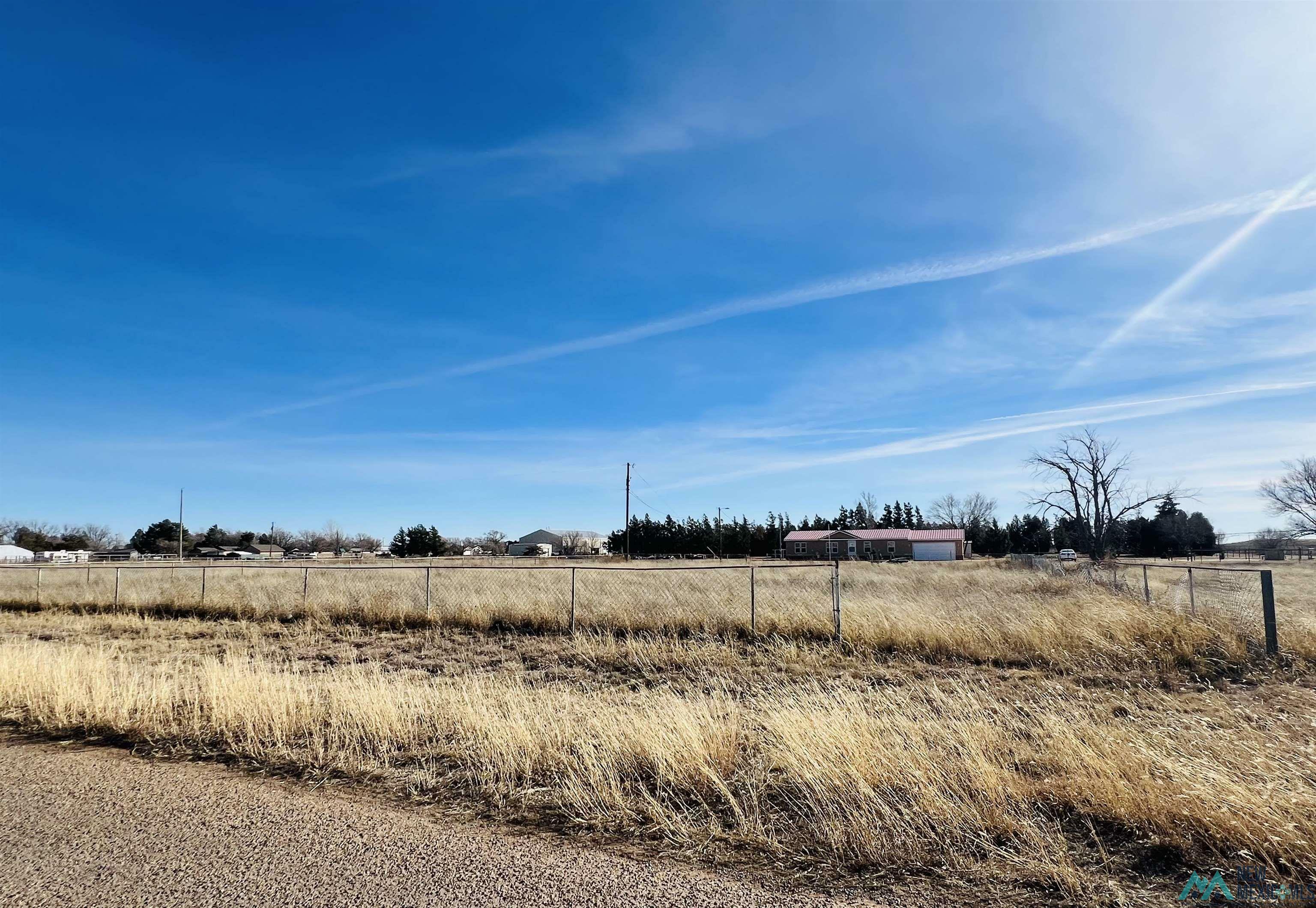 Property Photo:  229 Lynn Avenue  NM 88101 