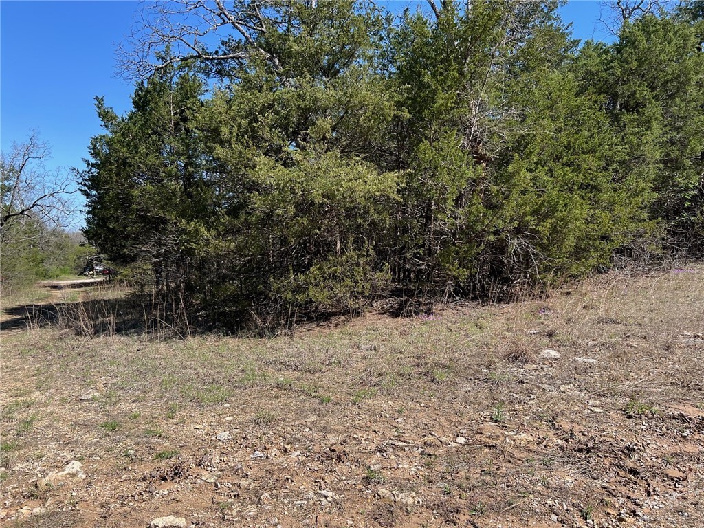 Property Photo:  Lot 23 Elm Street  AR 72644 