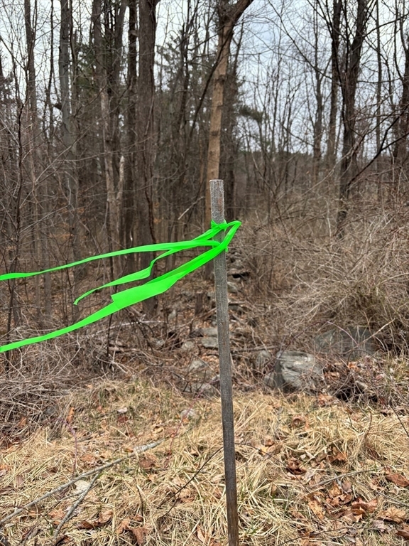 Property Photo: 56 Hubbardston Rd MA 01541