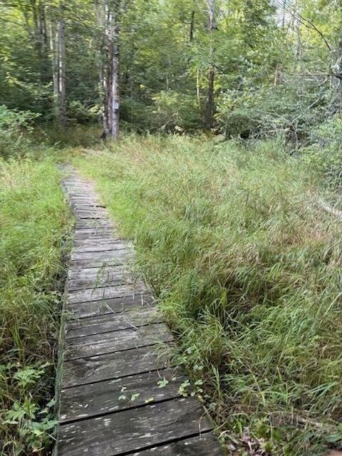 Property Photo:  56 Hubbardston Rd  MA 01541 