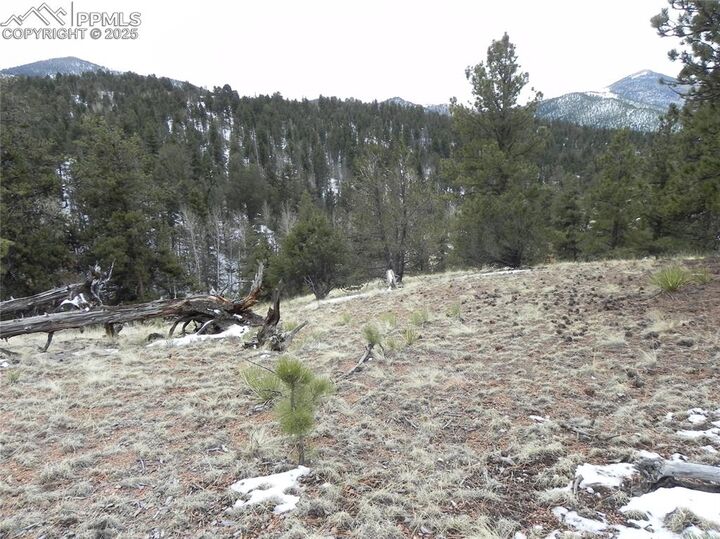 Property Photo:  153 Idlewild Drive  CO 80813 