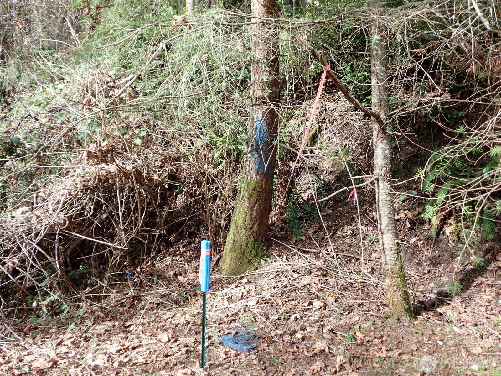Property Photo:  3450  Teal Lake Road  WA 98365 