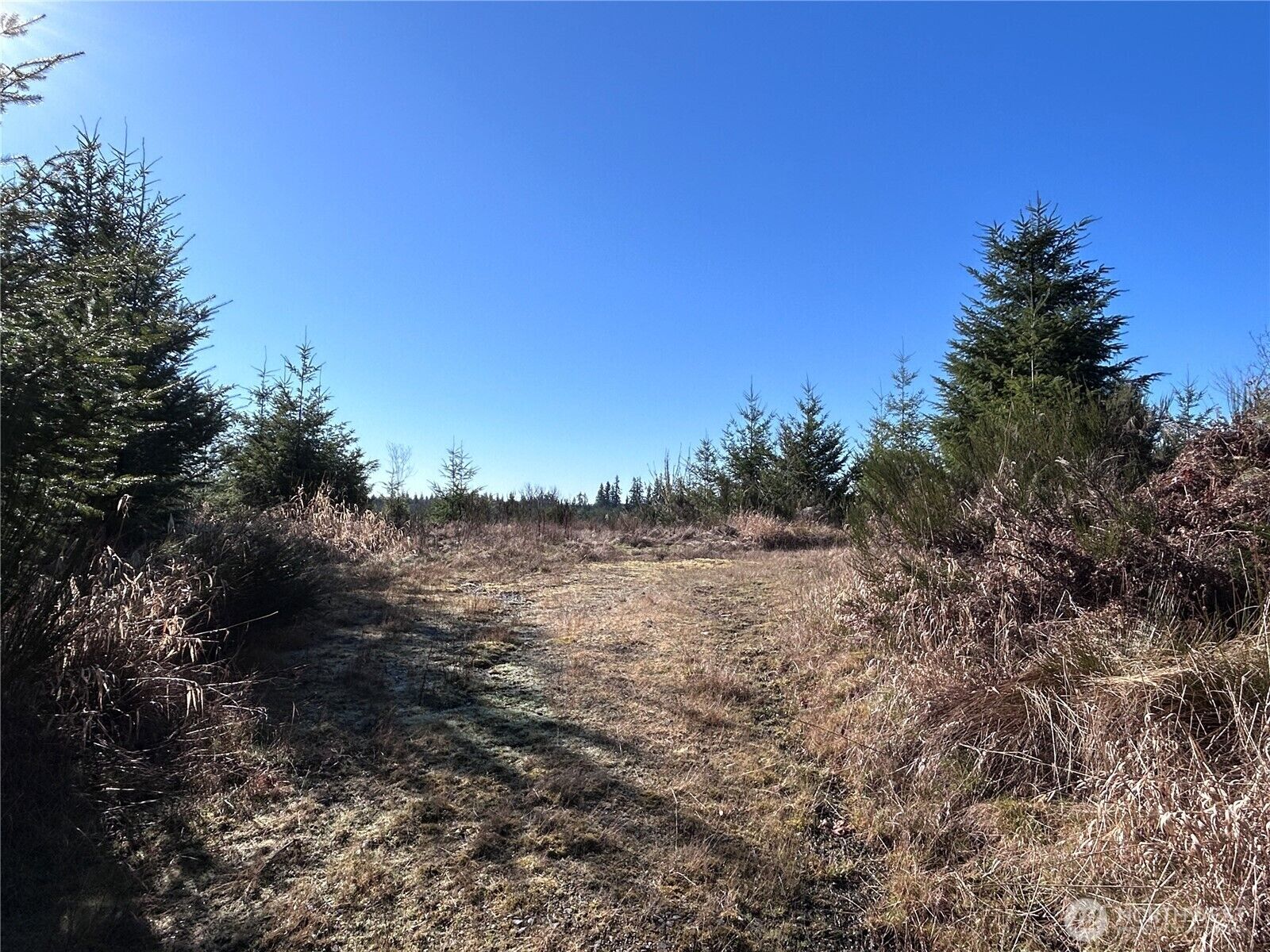 Property Photo:  0 Nka  Salmon Creek Road  WA 98591 