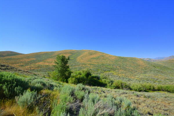 Property Photo: 102 Coeur D'Alene Dr ID 83333