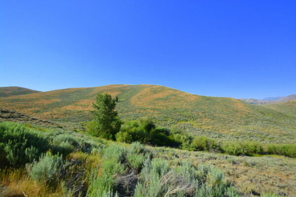 Property Photo: 102 Coeur D'Alene Dr ID 83333