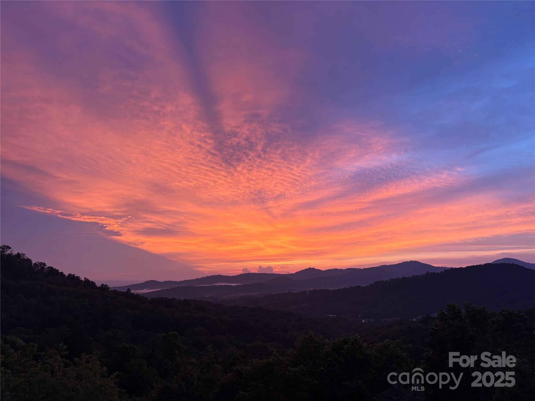 Property Photo:  116 Dalya Road  NC 28778 