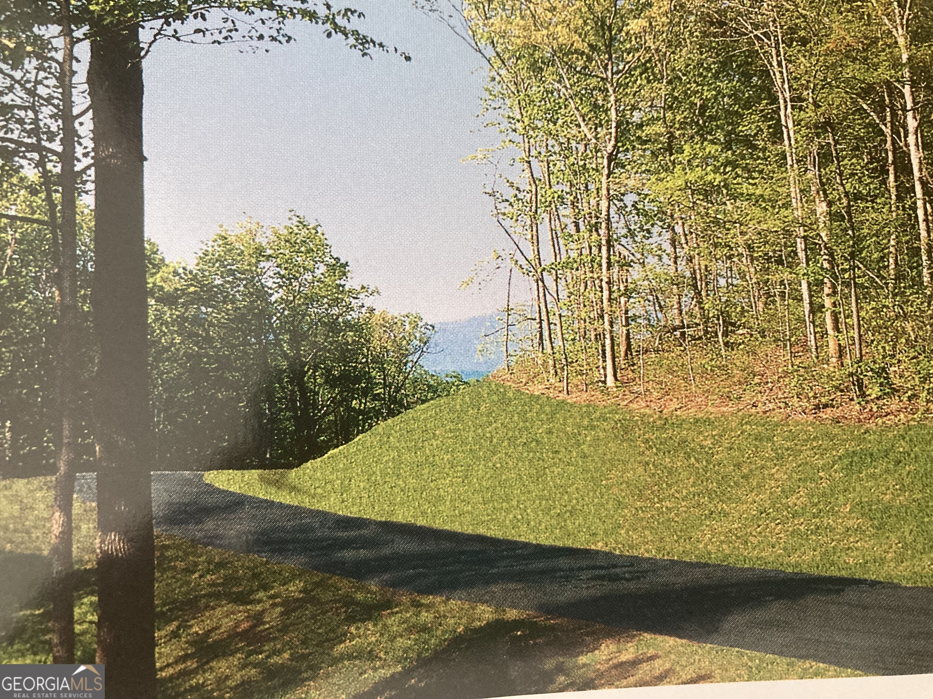 Property Photo: 0 Andes Ridge GA 30143