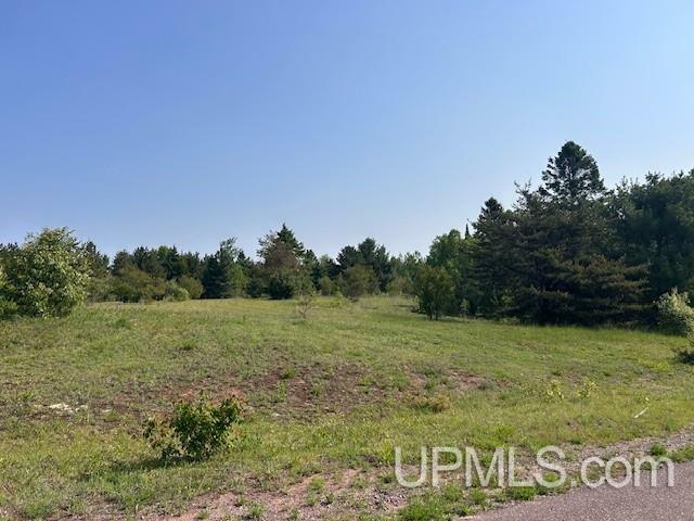 Property Photo:  13408 W Jackola (#2) Road  MI 49905 