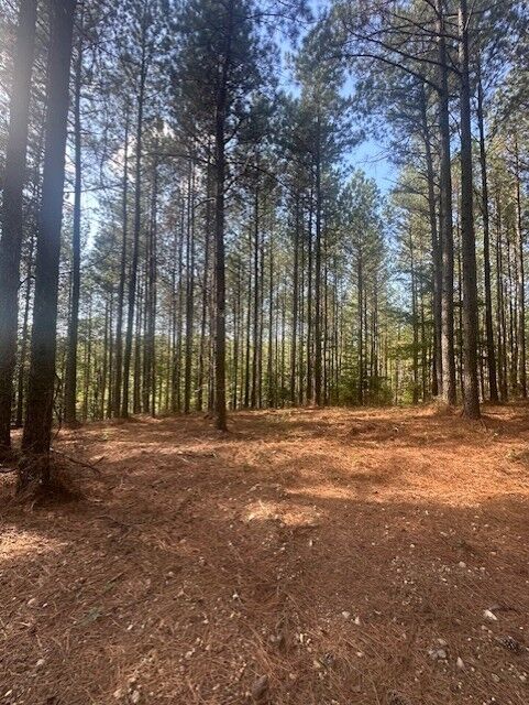 Property Photo: 450 Pine Grove Dr TN 37185