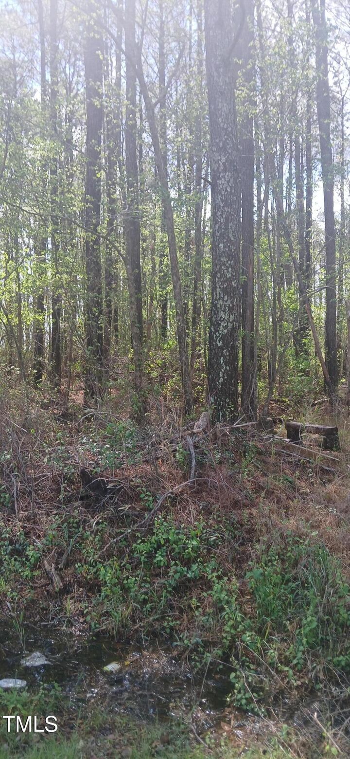 Property Photo: 0 Bailey Road NC 27892
