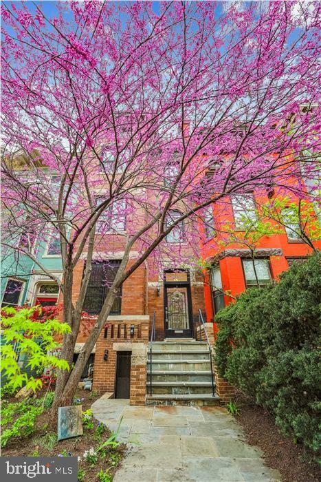Property Photo: 1943 Biltmore Street NW DC 20009