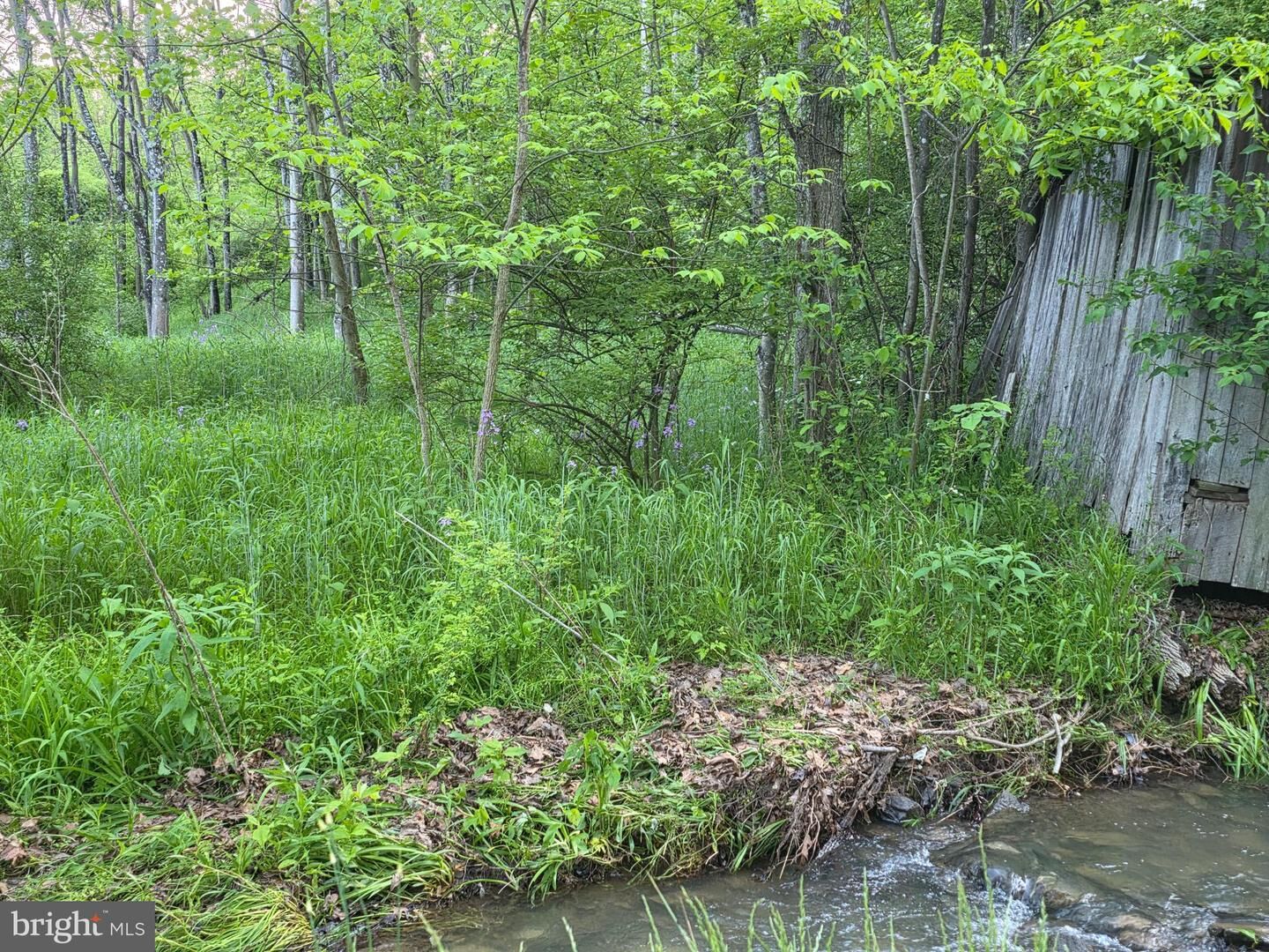 Property Photo: Old Furance Road WV 26753