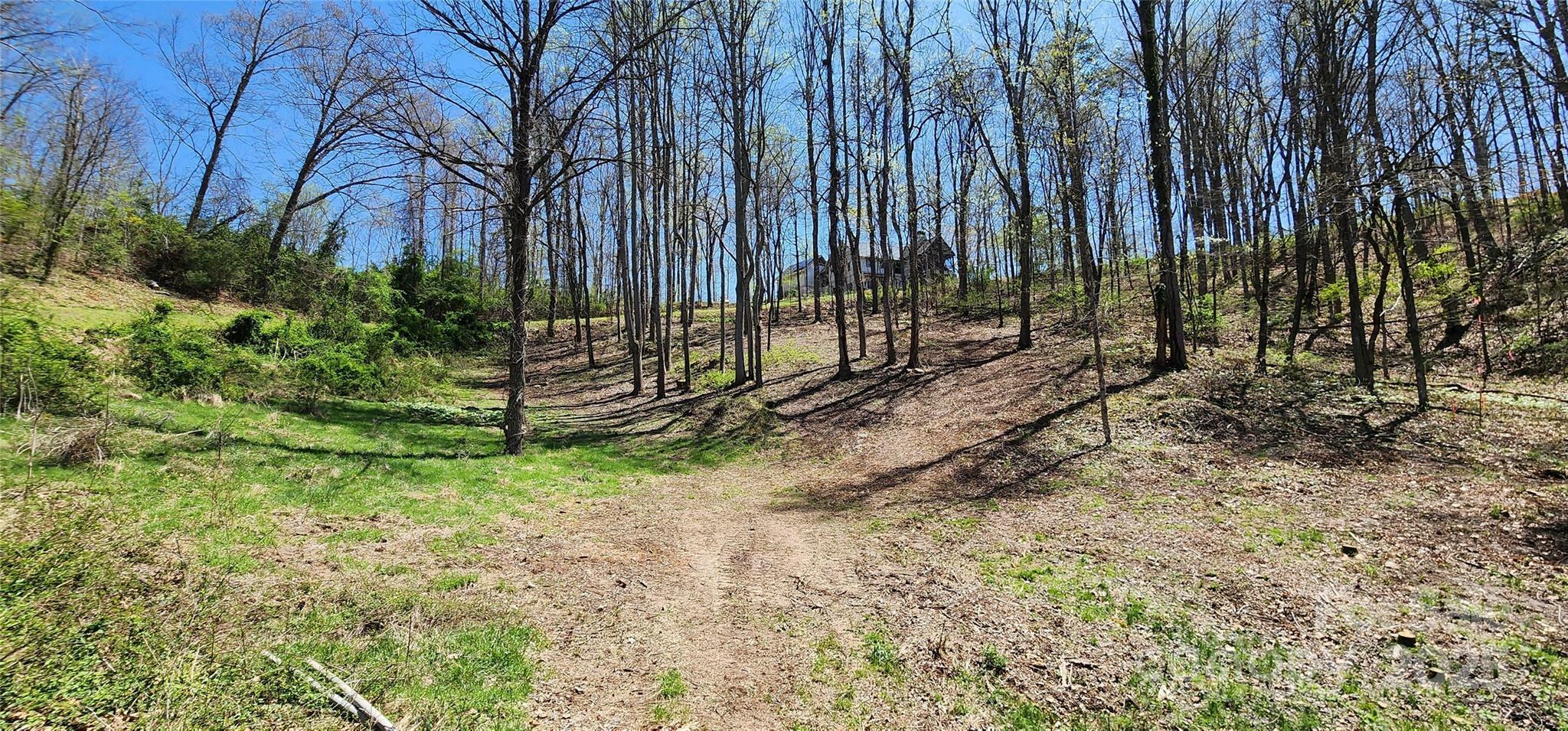 Property Photo: 31 Sweet Fern Parkway 42 NC 28804