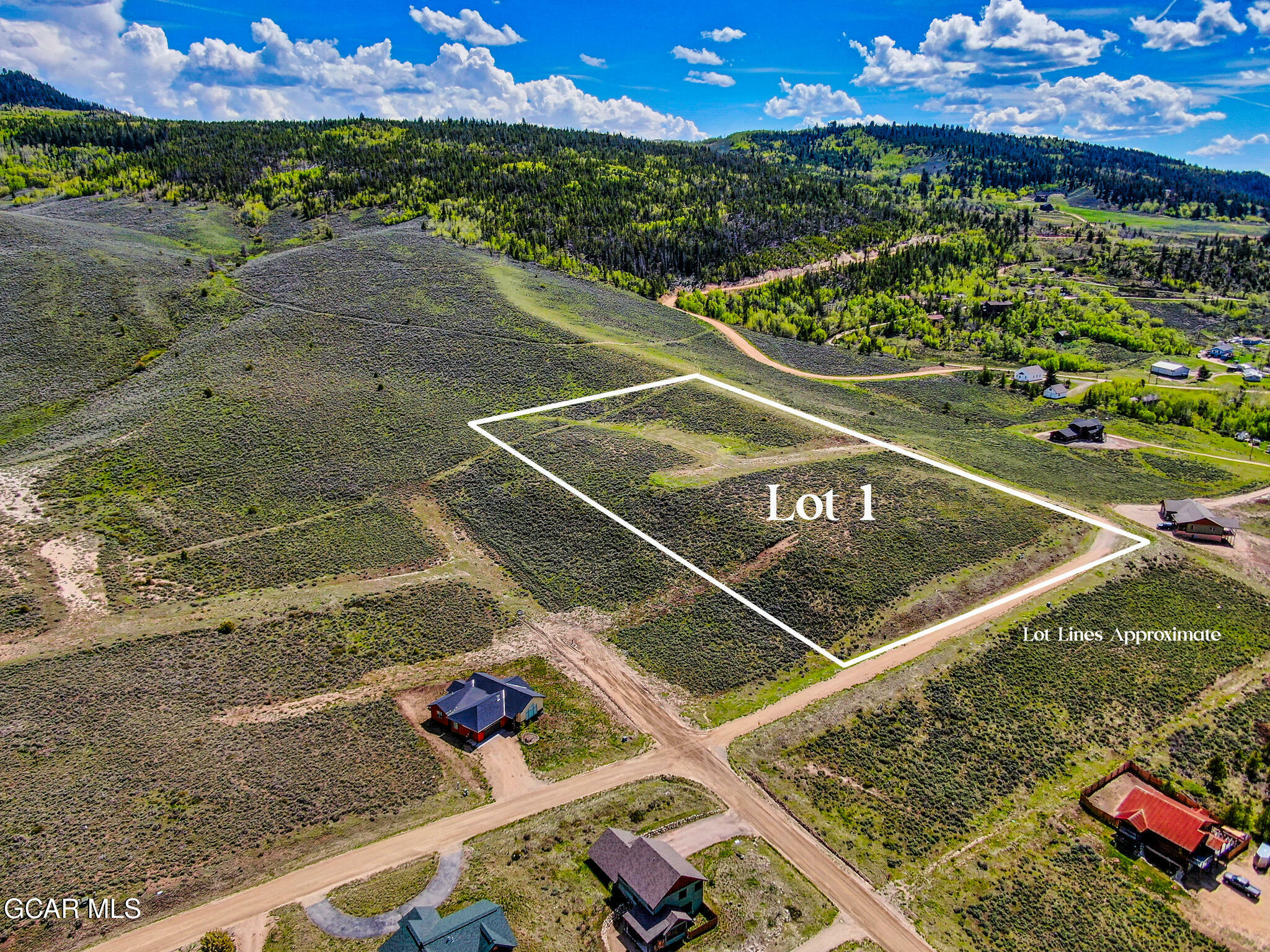 Property Photo: Lot 1 Ridgeway CO 80451