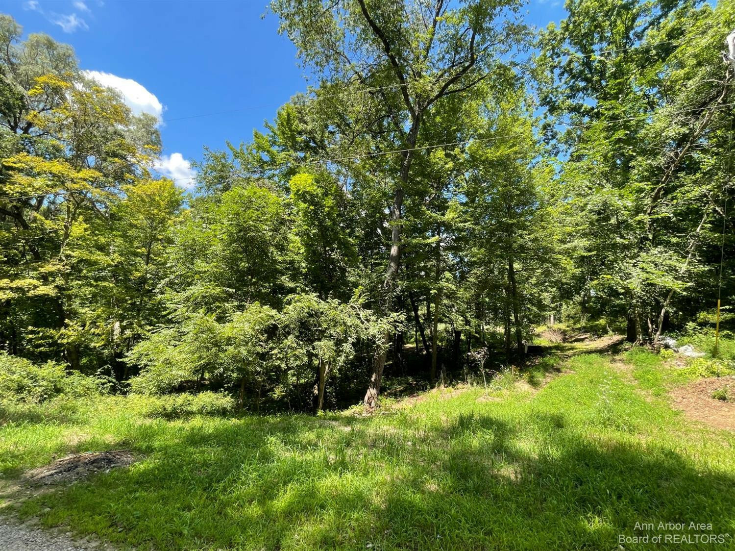20692 Hidden Lake Drive  Gregory MI 48137 photo