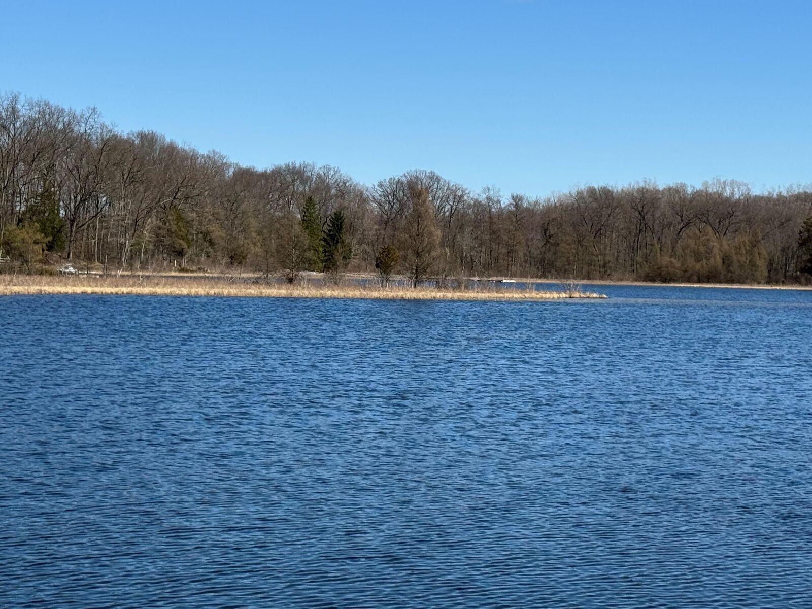 Property Photo:  20692 Hidden Lake Drive  MI 48137 