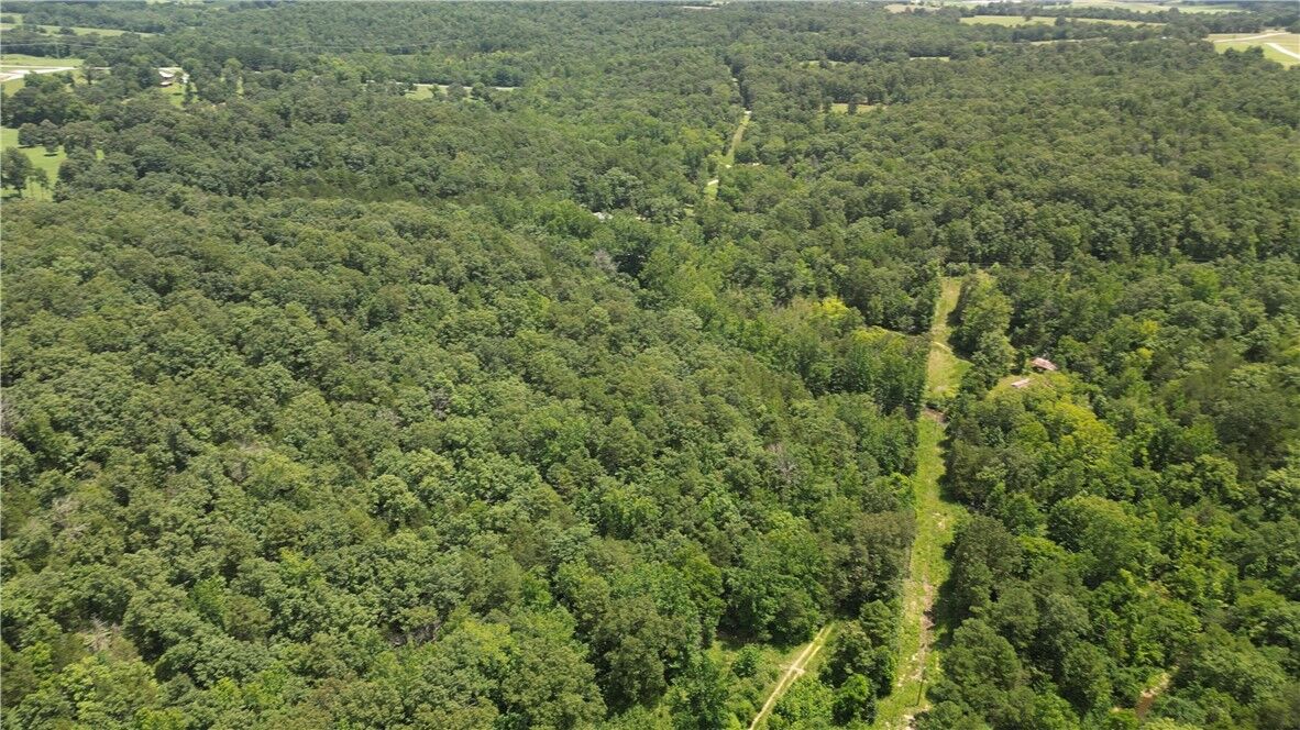 Property Photo: 881 Driftwood Drive AR 72566