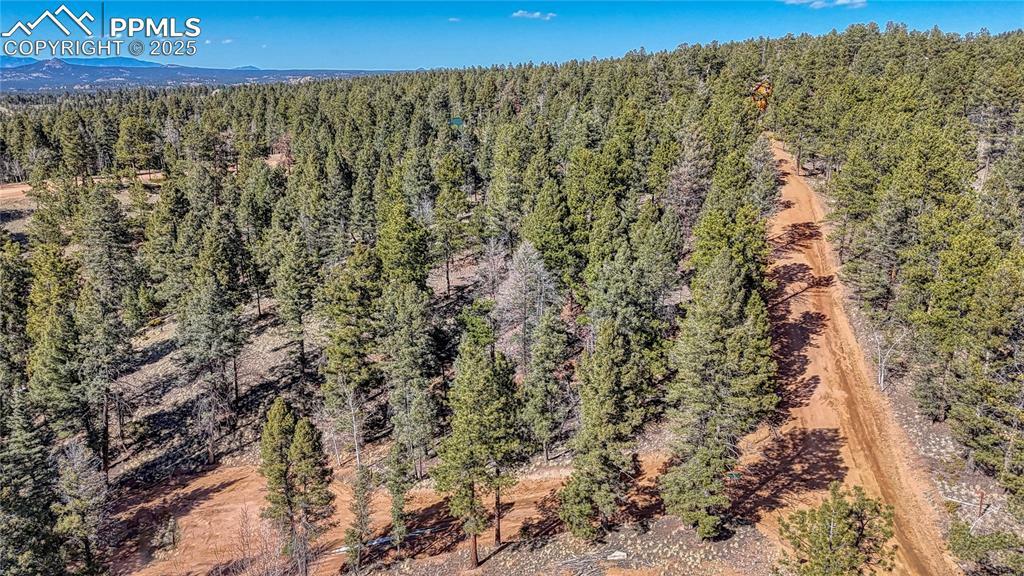 Property Photo: 81 Garnet Way CO 80816