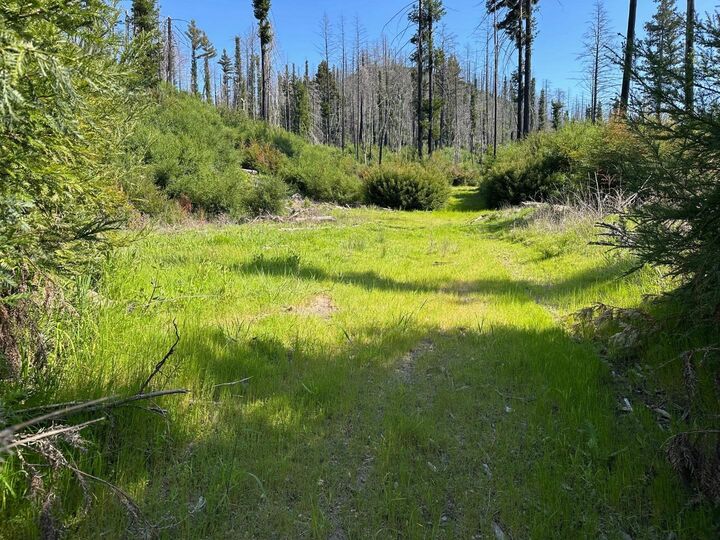 Property Photo:  4605 Last Chance Road  CA 95017 