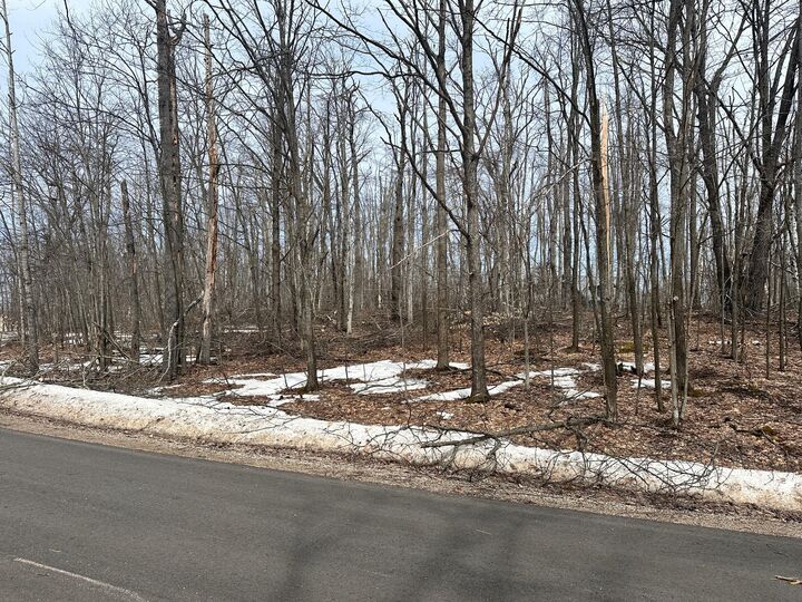 Lot# 1937 Bob White Way  Gaylord MI 49735 photo