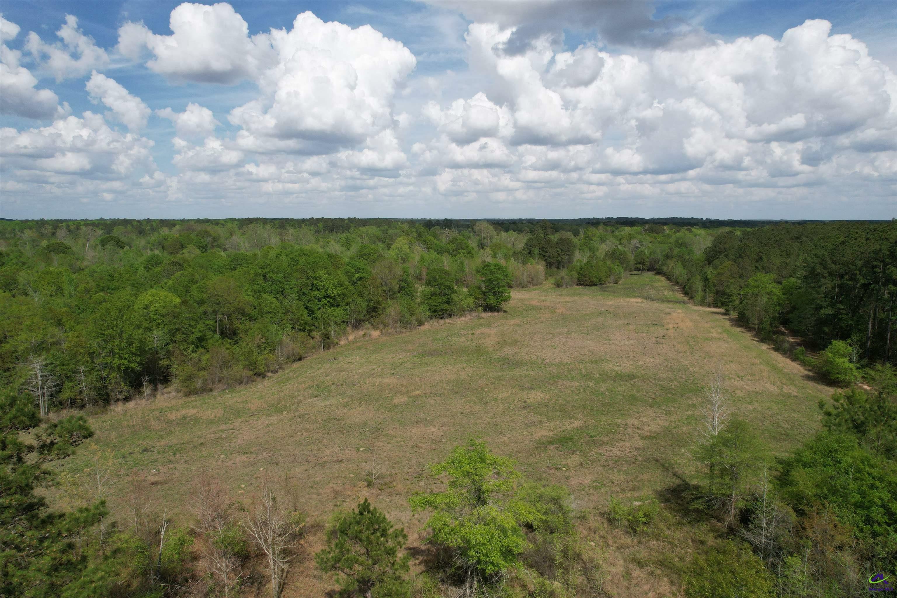 Property Photo: Bethel Church Road GA 31023