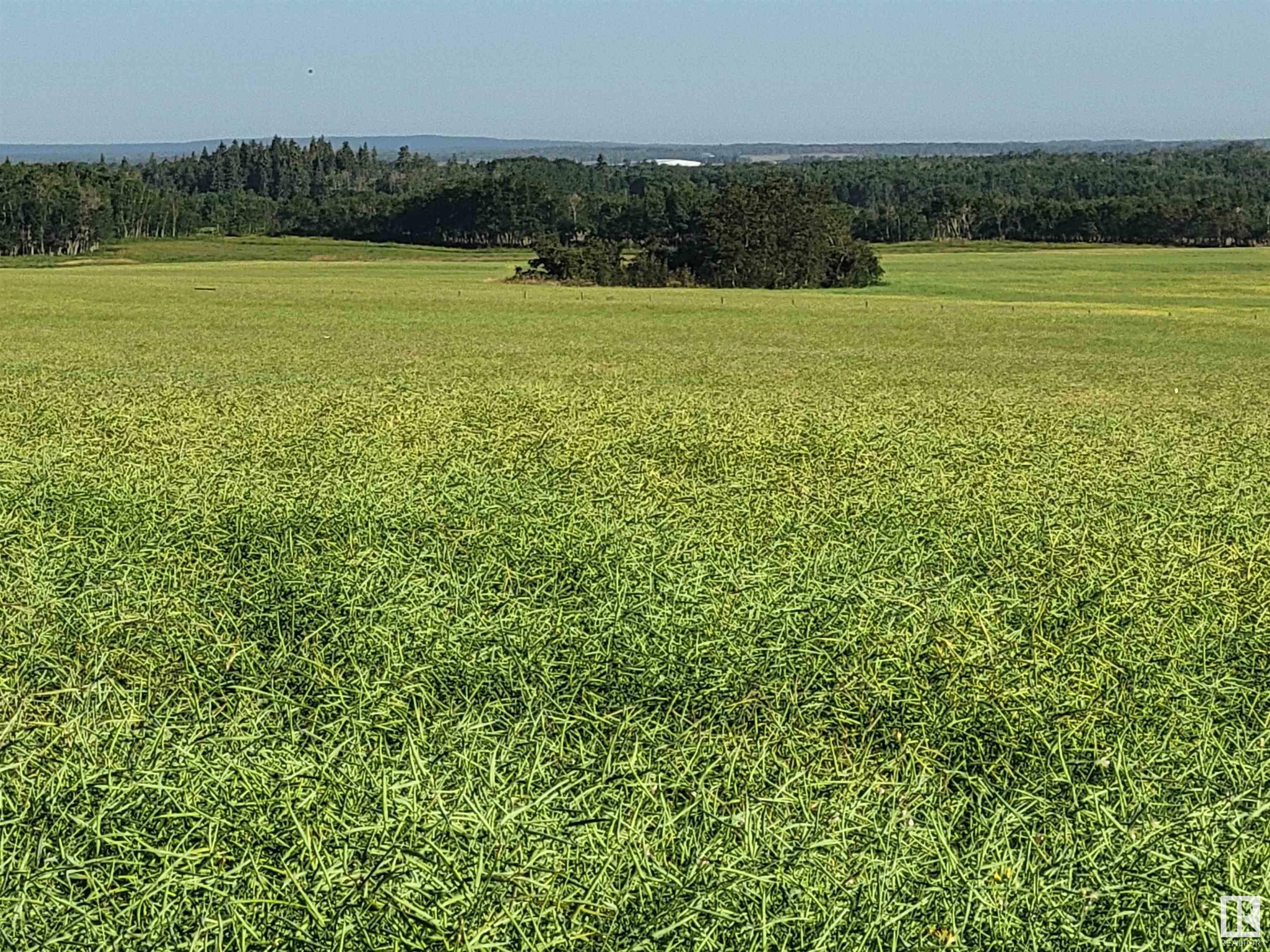 Twp 605 RR 455  Rural Bonnyville M.d. AB T9N 2G3 photo