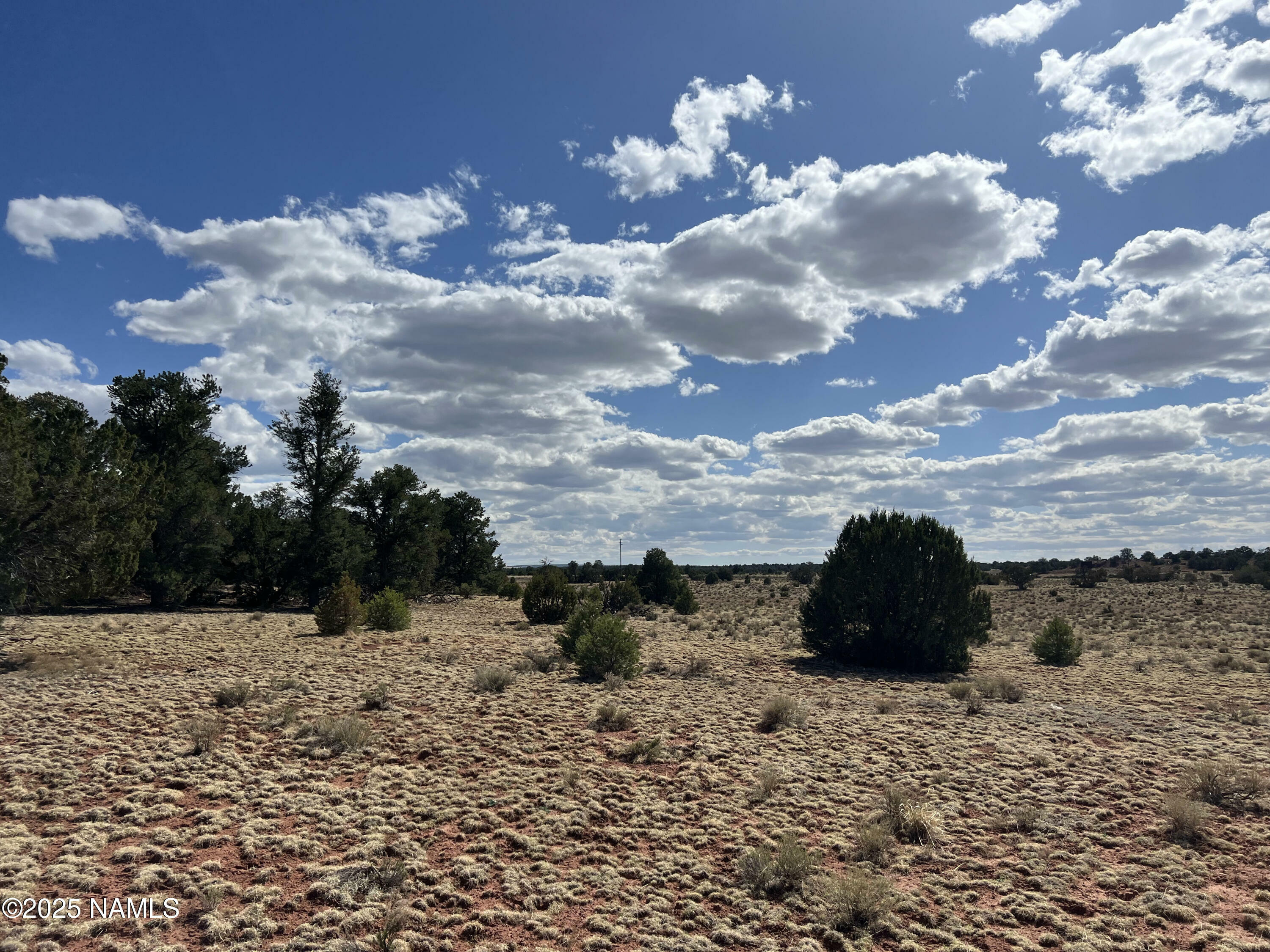 Property Photo:  8913 Water Tank - Lot C Circle  AZ 86046 