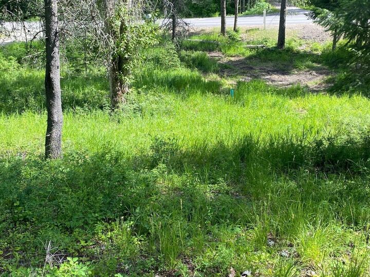 Property Photo:  174 Reservoir Road  MT 59937 