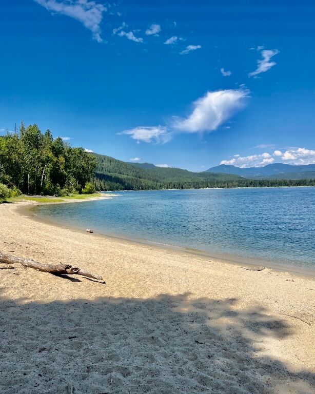 Property Photo: 8800 Seymour Arm Main Road 21 BC V0E 1M0