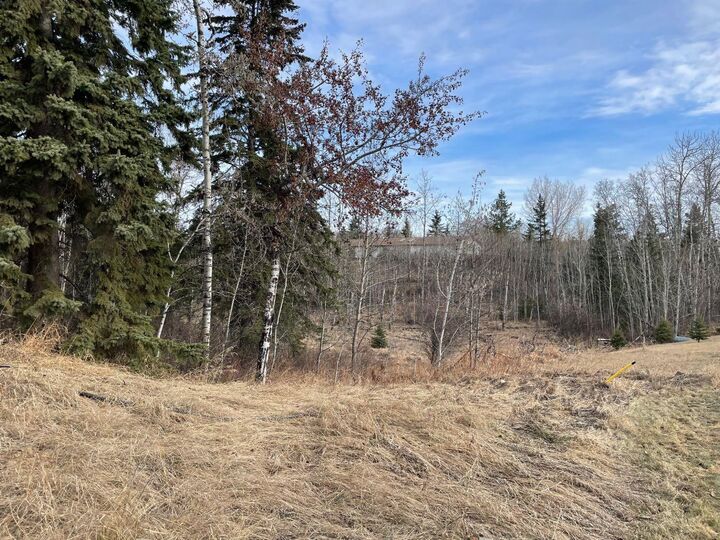 Property Photo:  130 &Amp 132 Wolf Run Drive  AB T4J 1R3