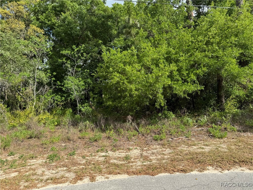 Property Photo: 6605 W Gannet Place FL 34429