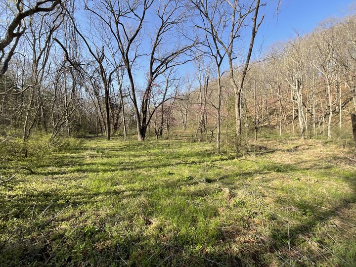 Property Photo: 000 Brush Creek Road MO 64854
