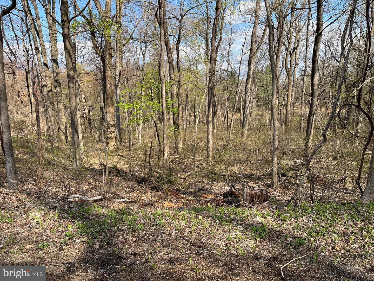 Property Photo: Meadow Trail Lot 1 PA 17019