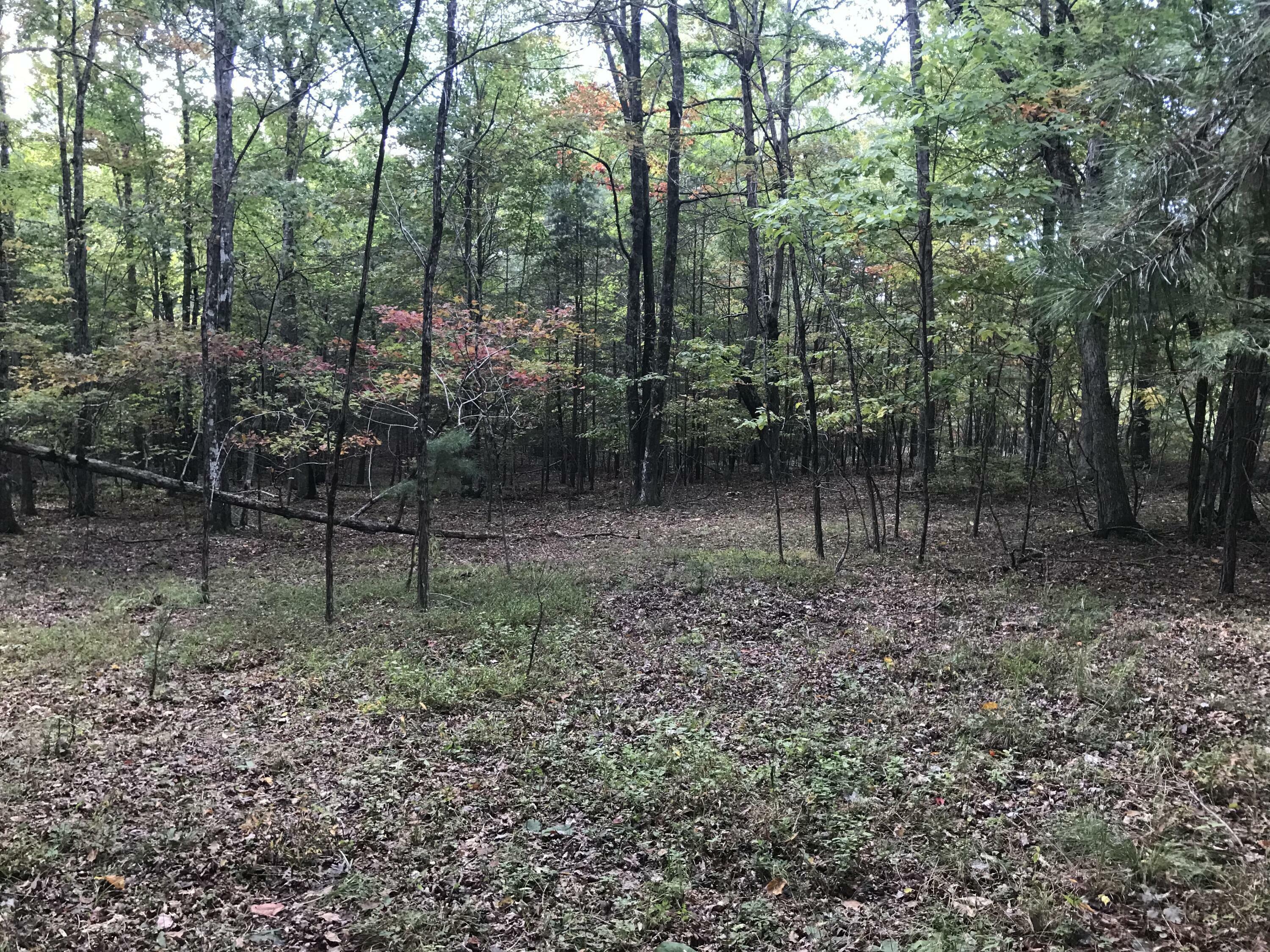 Property Photo: 57 Deer Point Drive TN 37327