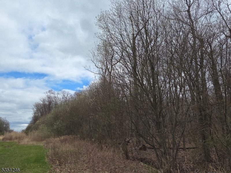 421 Mine Rd  Bethlehem Twp. NJ 08802 photo