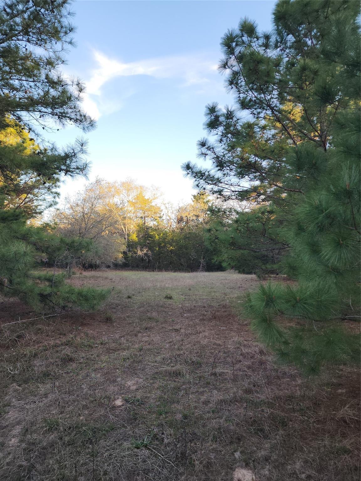 Property Photo:  Tbd Fm 3283  TX 77964 