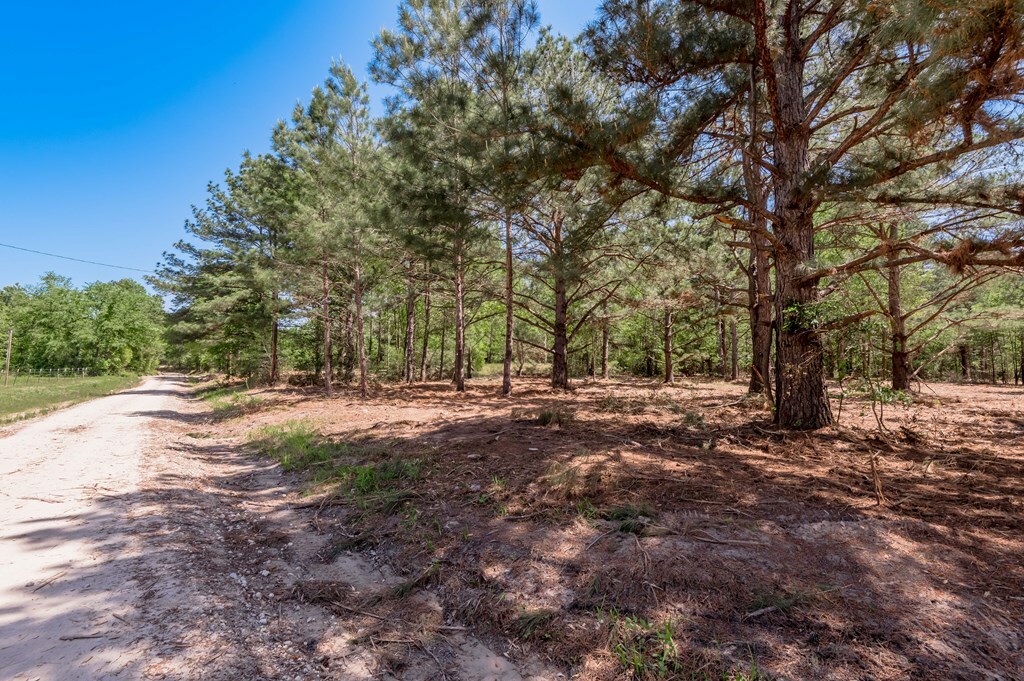Property Photo: 6077 Tract 3 Cr 4200 TX 75856