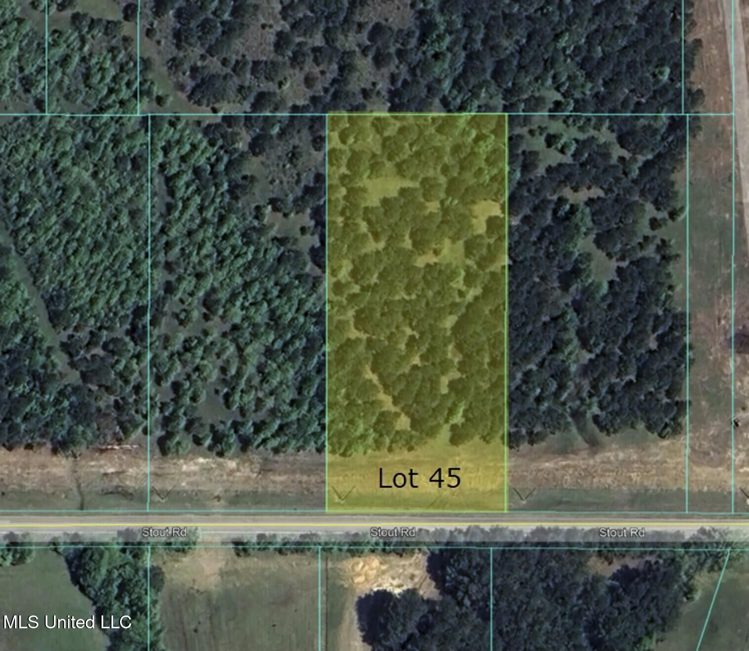 Property Photo:  Stout Road  MS 39046 