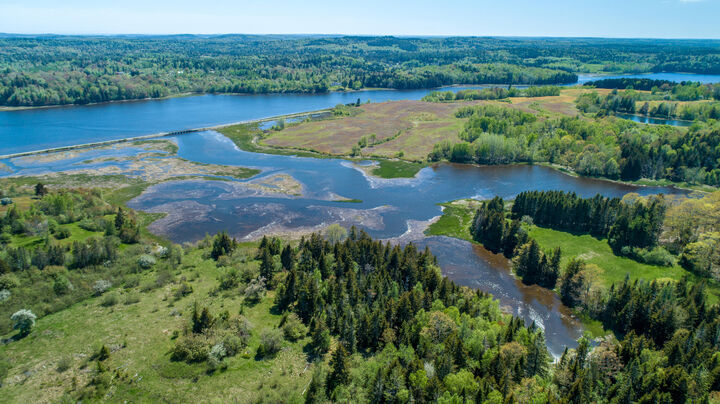 80 Holmes Way  East Machias ME 04630 photo