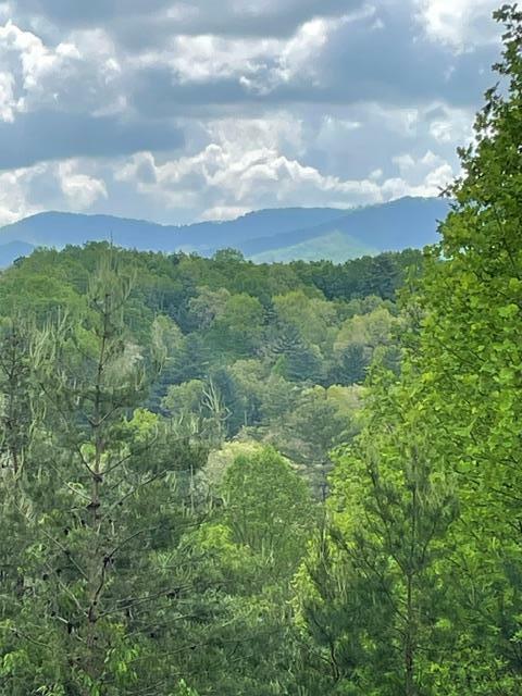 Property Photo: 554 Rocky Ford Road TN 37391