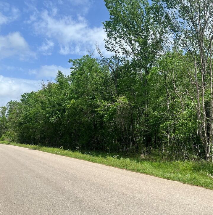 Property Photo: 000 County Road 158 TX 77575