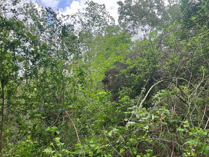 Property Photo: 000 Cemetery Road TX 77575
