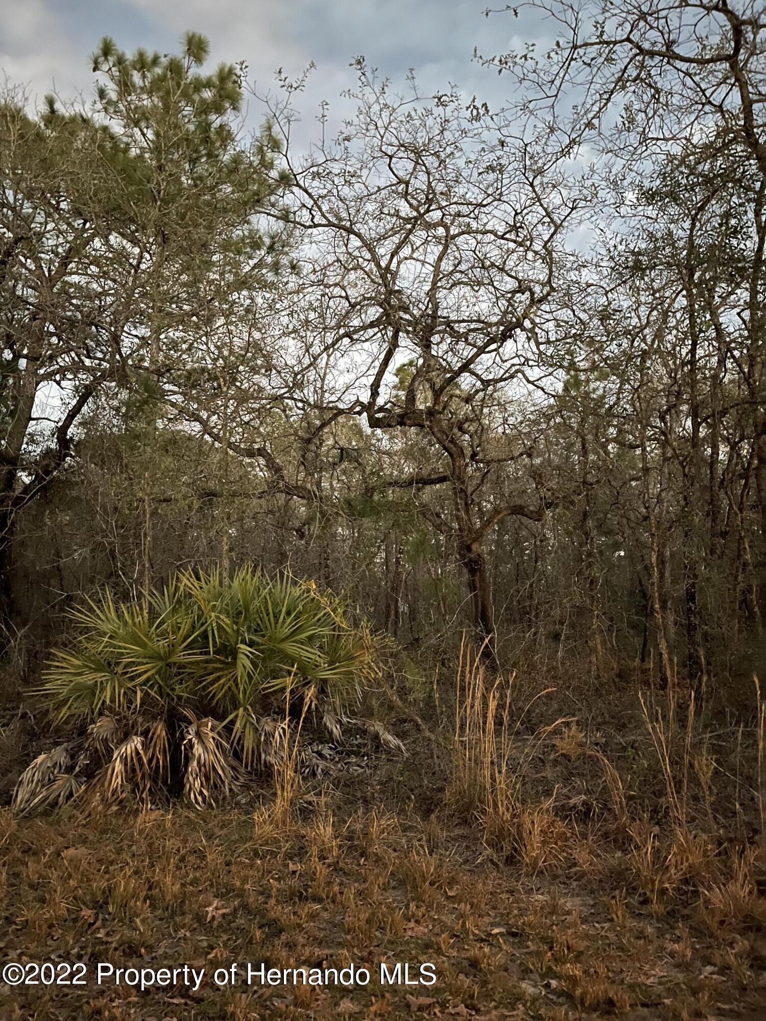 Property Photo:  0 Macassar Rd  FL 34614 