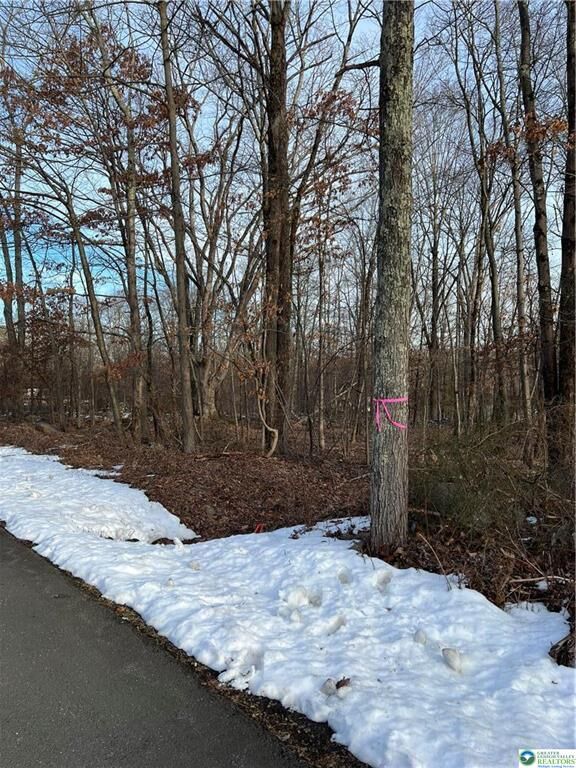 Property Photo: 2636 Woodruff Lane PA 18360