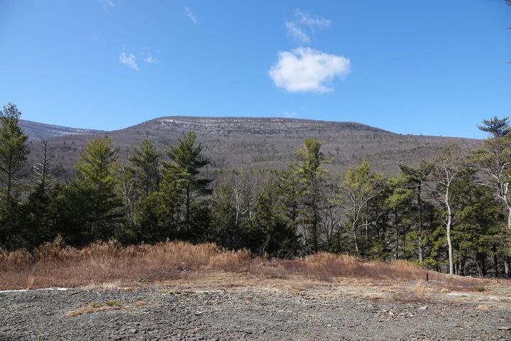 736-738 Manorville  Saugerties NY 12477 photo
